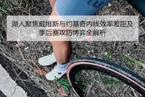 湖人聚焦戴维斯与约基奇内线效率差距及季后赛攻防博弈全解析