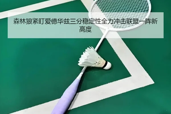 森林狼紧盯爱德华兹三分稳定性全力冲击联盟一阵新高度