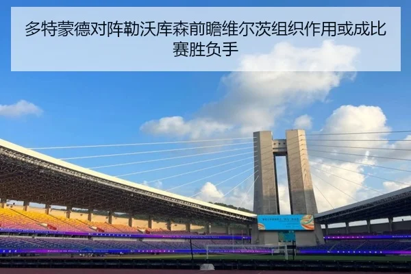 多特蒙德对阵勒沃库森前瞻维尔茨组织作用或成比赛胜负手